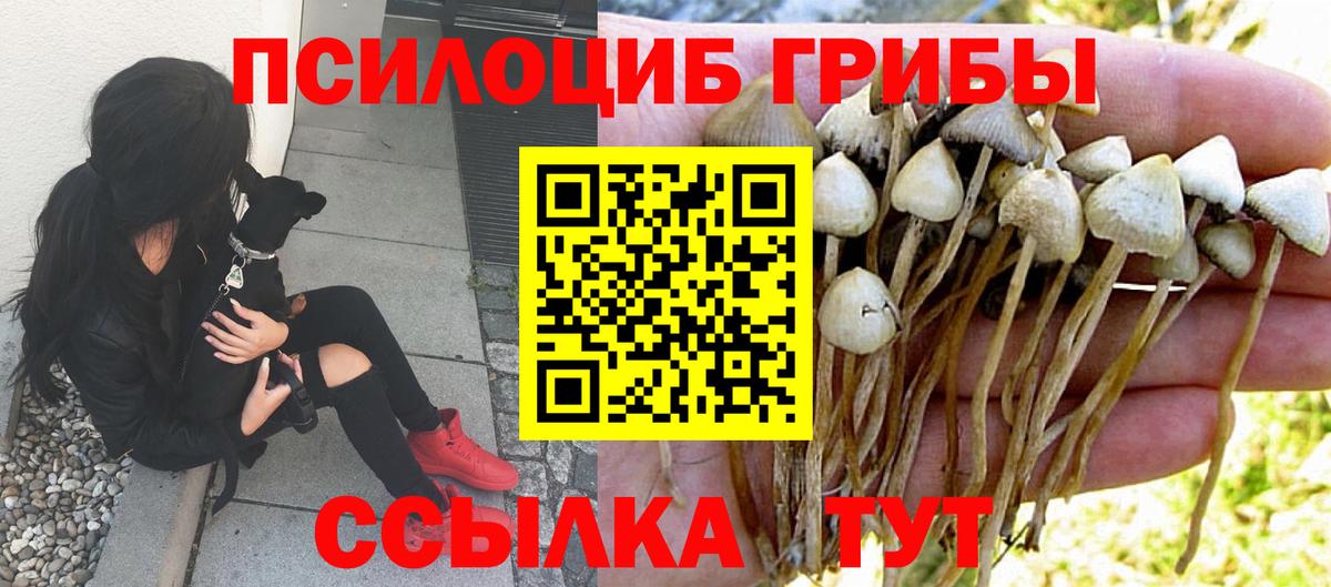 Апшеронск  Галлюциногенные грибы Magic Shrooms  Вход с VPN  Галлюциногенные грибы ЛСД 